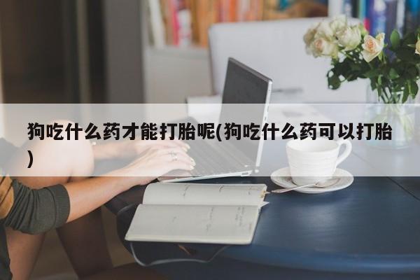 哪里有堕胎药微信狗吃什么药才能打胎呢(狗吃什么药可以打胎)