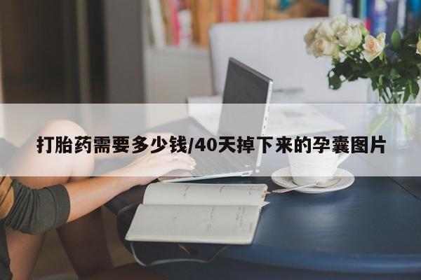 哪里有堕胎药微信打胎药需要多少钱/40天掉下来的孕囊图片